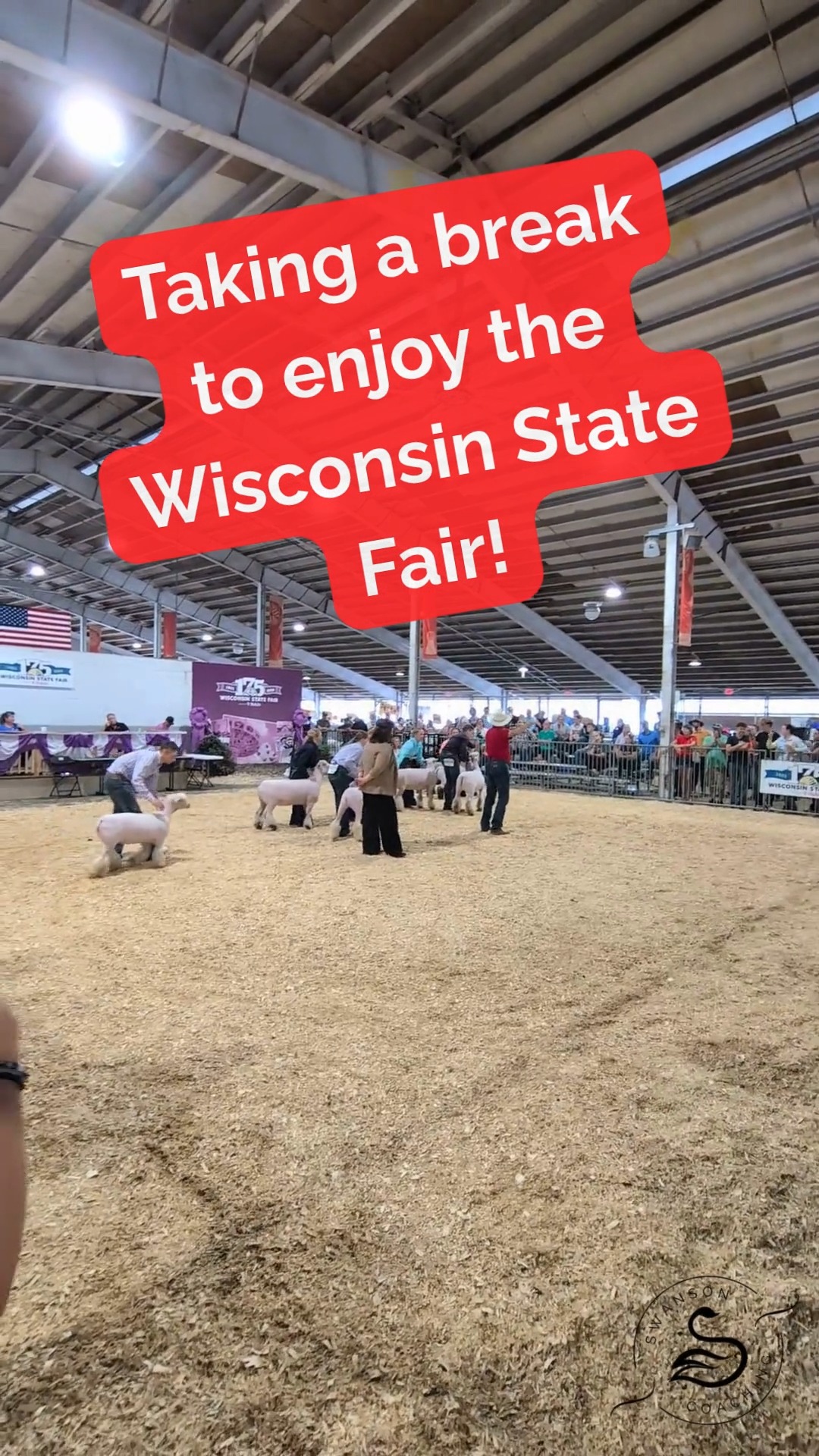 Spent three days at the Wisconsin State Fair @wistatefair - as I have for the past several years - helping sister with her horticulture exhibits. 
16,000 steps a day some days! 🥴 Boy am I pooped. 💩

Anyone going to or looking forward to county/state fairs this summer?

#WiStateFair #MnStateFair #blueribbon #cheese #dairystate